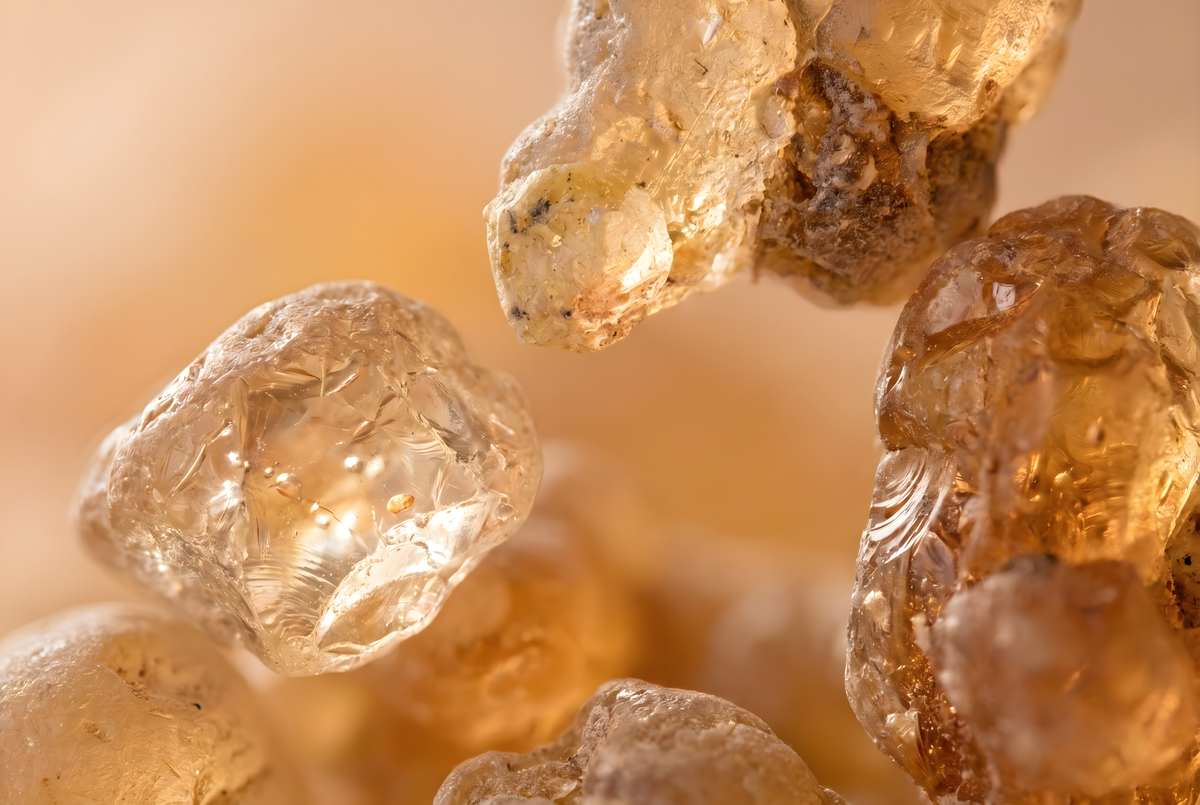 Boswellia Serrata